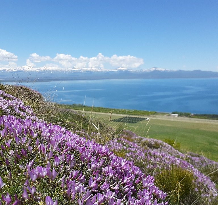 Tour: Armenien entdecken